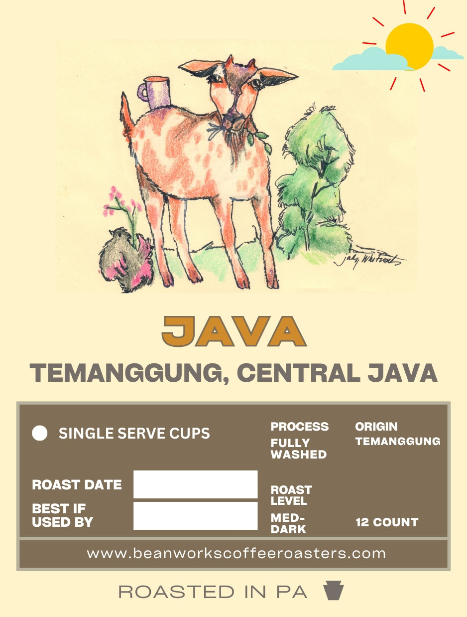 Artist Series No.1 JAVA  - 