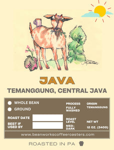 Artist Series No.1 - JAVA  - "old goat"