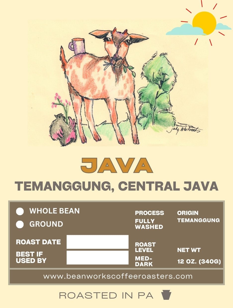 Artist Series No.1 - JAVA  - 