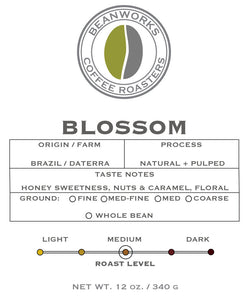 BLOSSOM - DATERRA