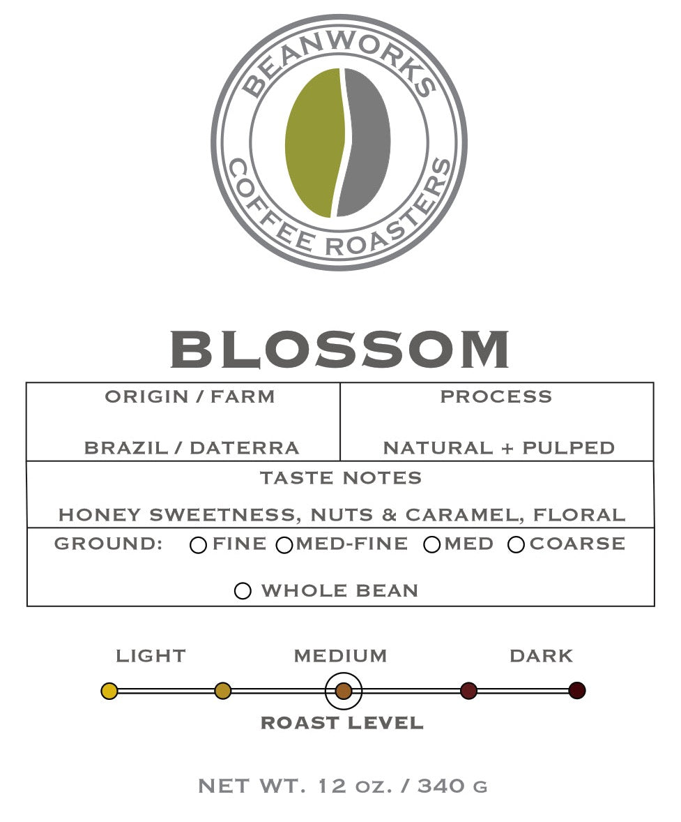 BLOSSOM - DATERRA